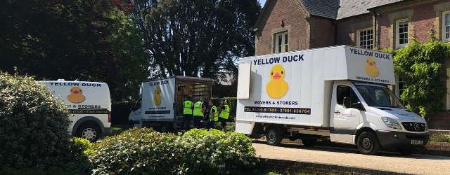 Yellow Duck Removals