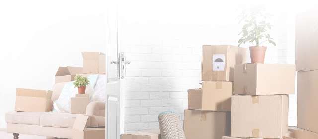 Boxell Removals