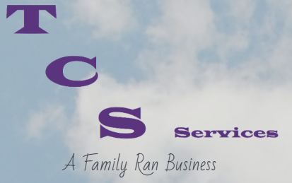 TCS Services logo