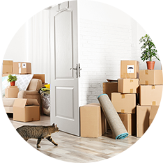 Helpful Movers Helpful Movers