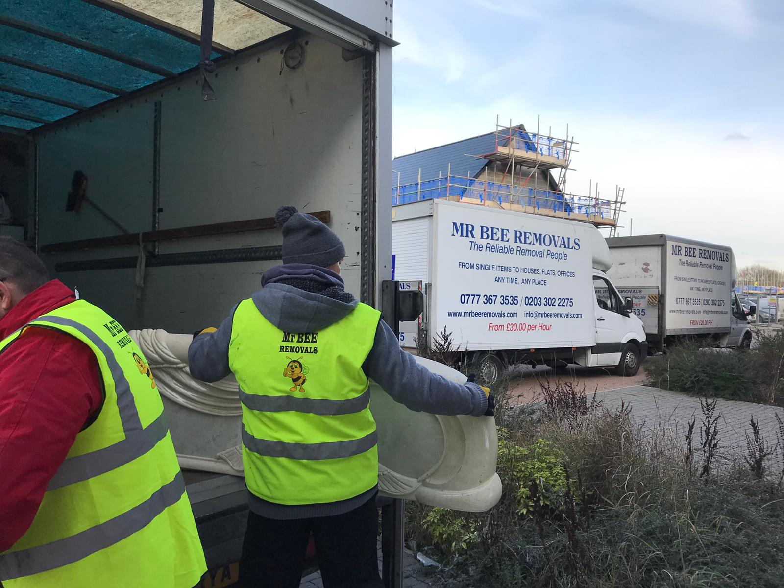 Mr. Bee Removals Mr. Bee Removals