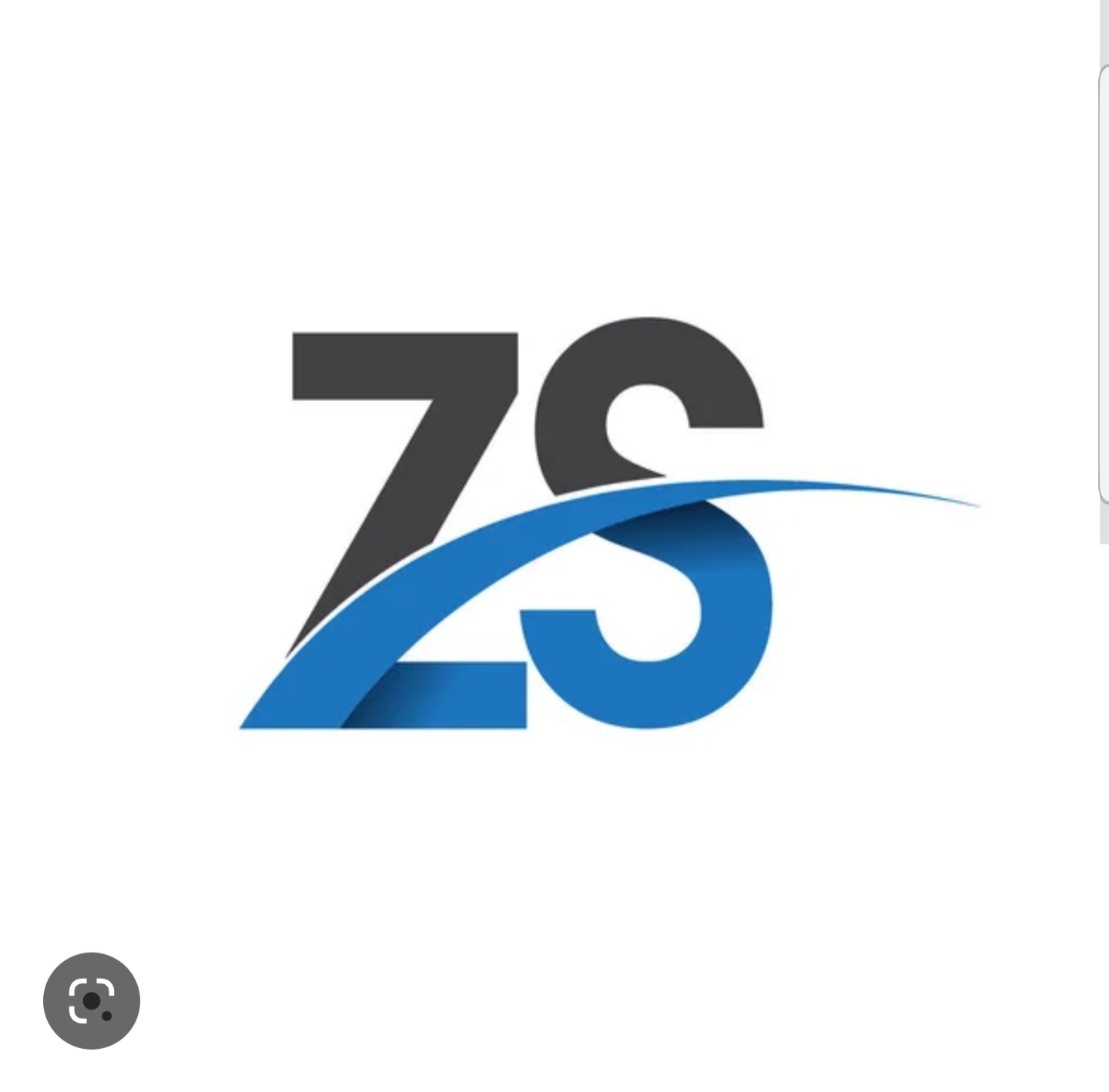 Zs man and van logo