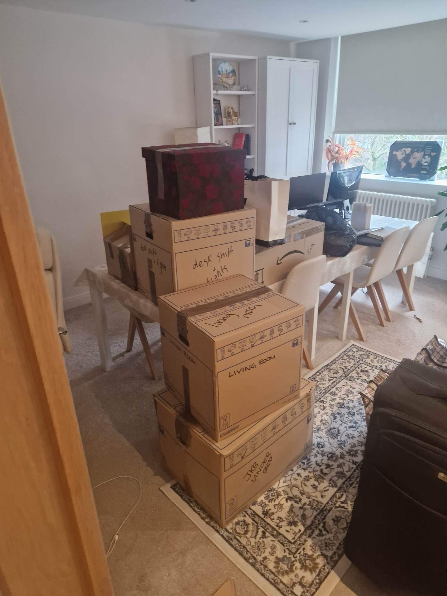 Up Removals Up Removals
