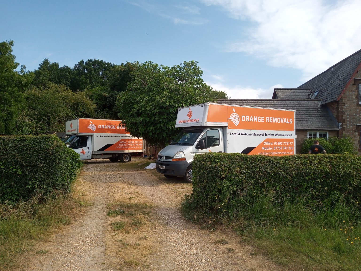 Orange removals Orange removals