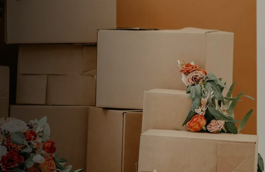 Best Choice Removal Ltd Best Choice Removal Ltd